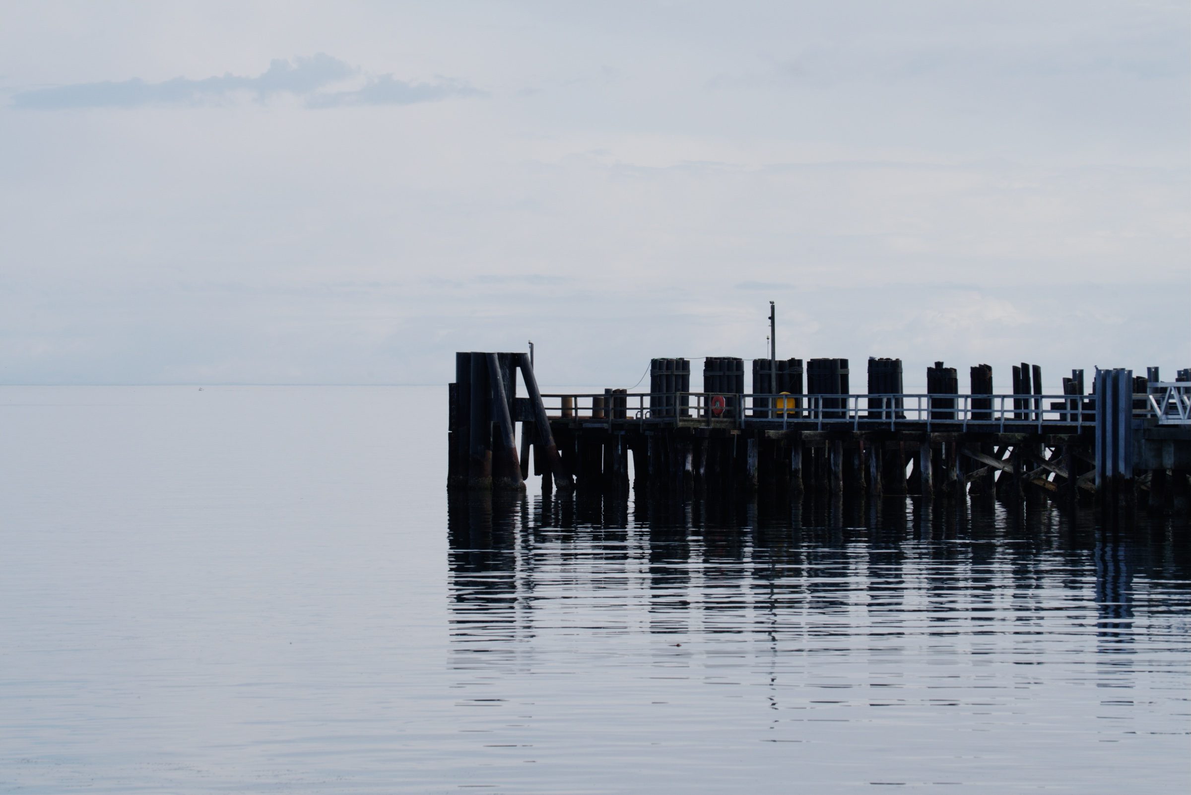 Wooden pilings of an old pier standing in calm, pale water, as shot.