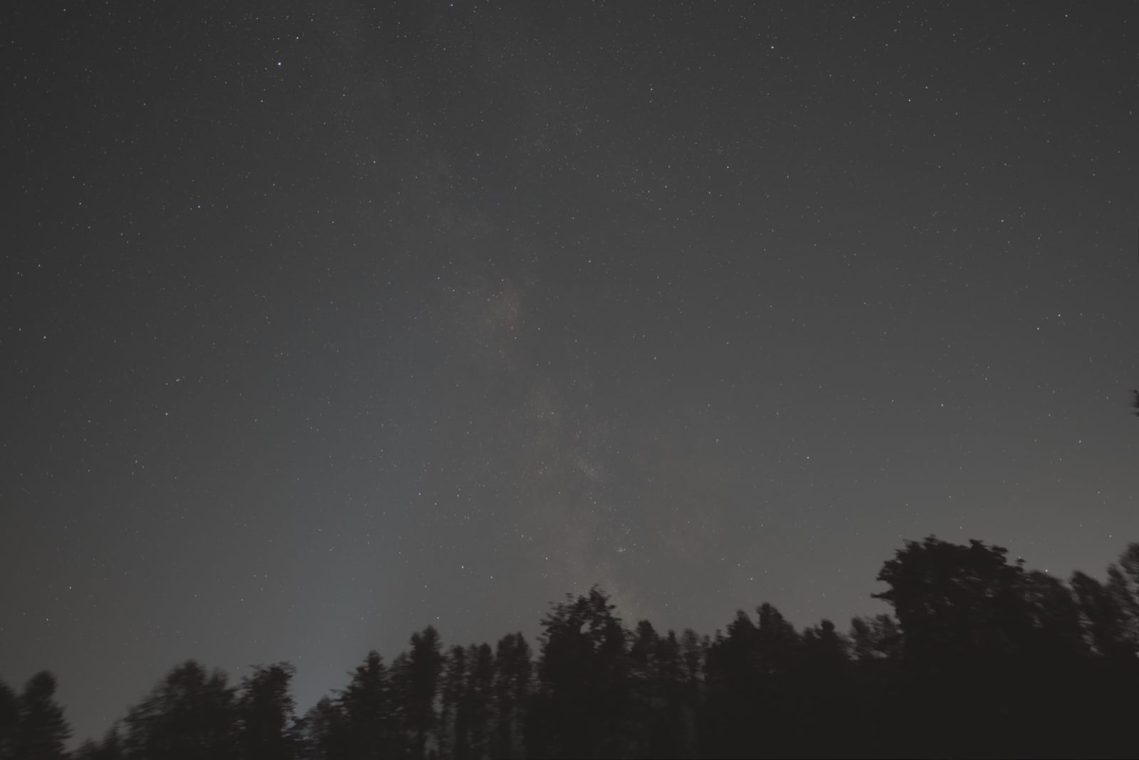 The Milky Way over a treeline in one exposure, faint against the sky